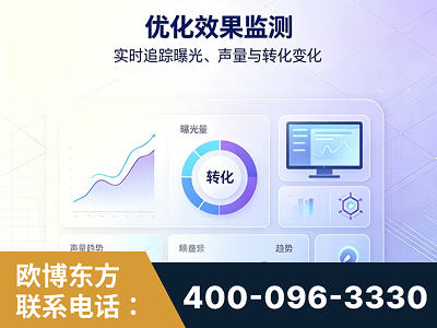 扬州-优化效果监测