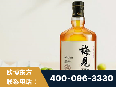 扬州-梅见青梅酒